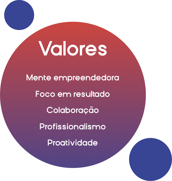 imagem contendo os valores da empresa